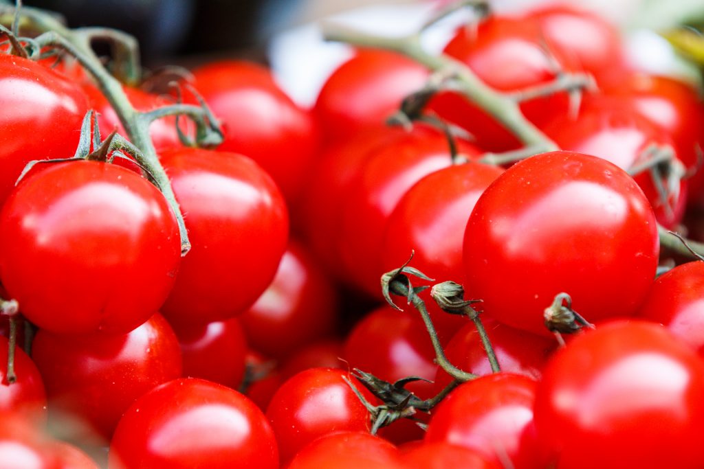grow tomatoes