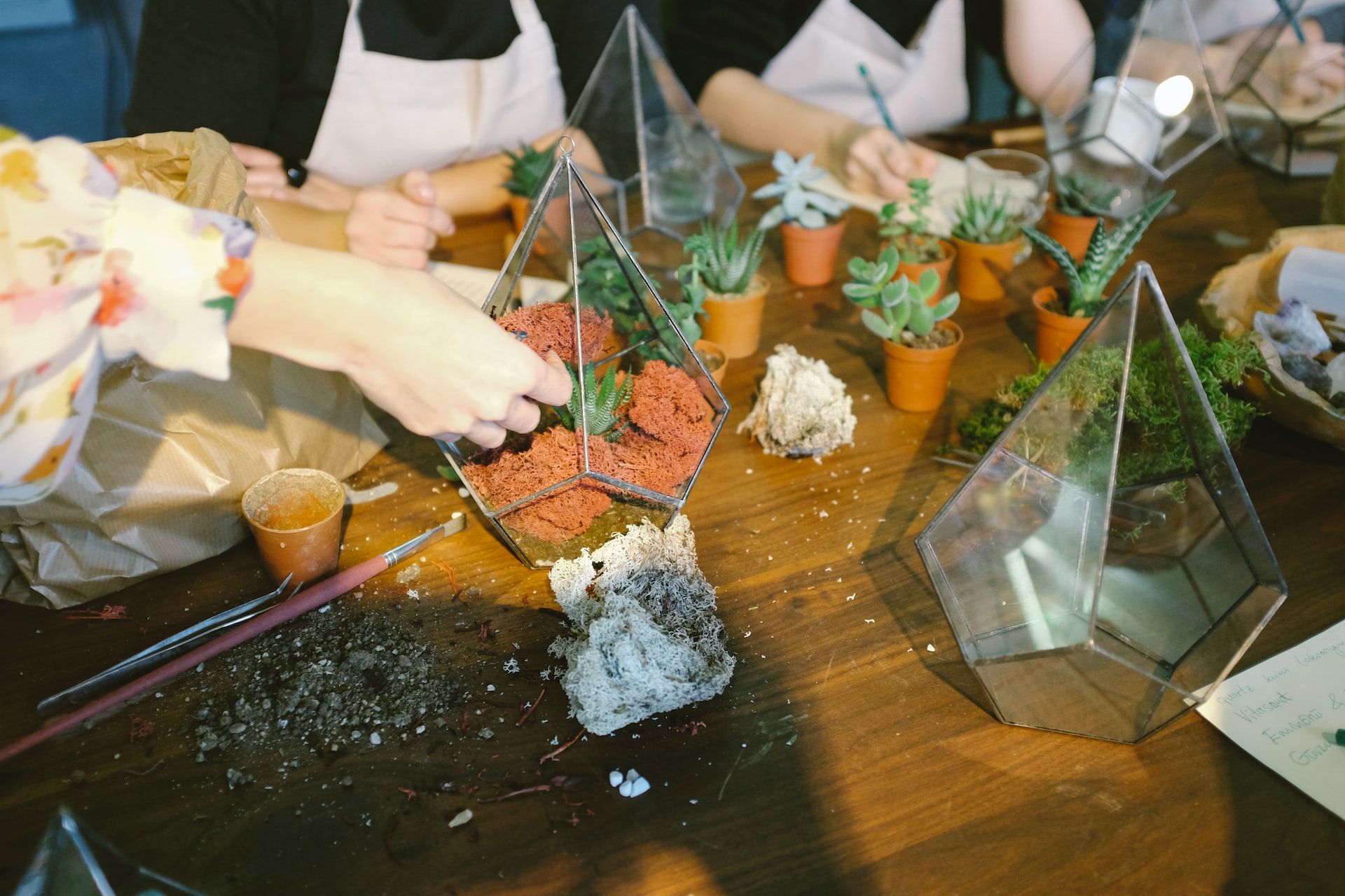 Indoor Gardening Activities For Seniors Terrariums Simple Happy Home